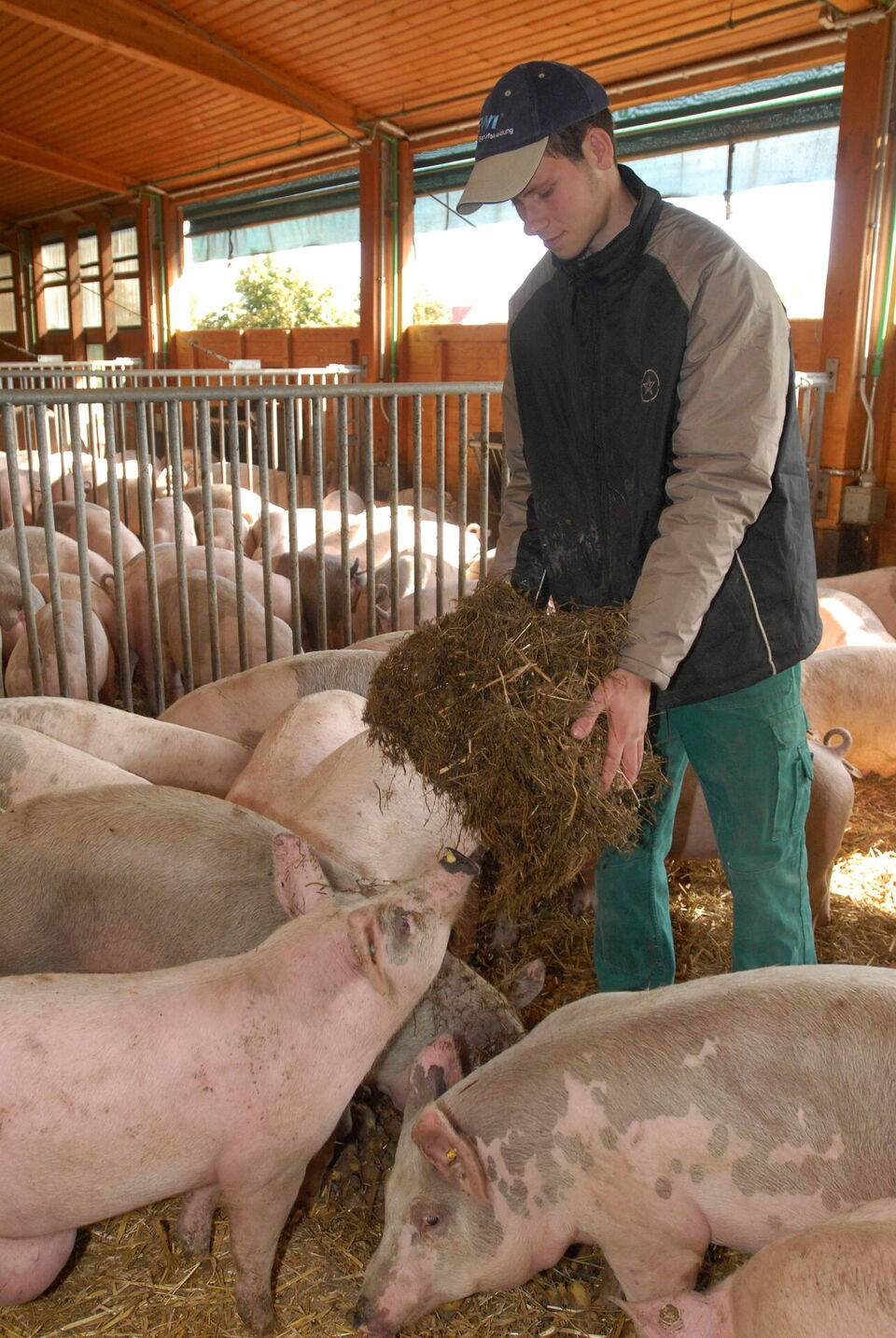 Pädagogische / Pflegerische Assitenz oder Fachkraft in der Tierhaltung  (m/w/d)