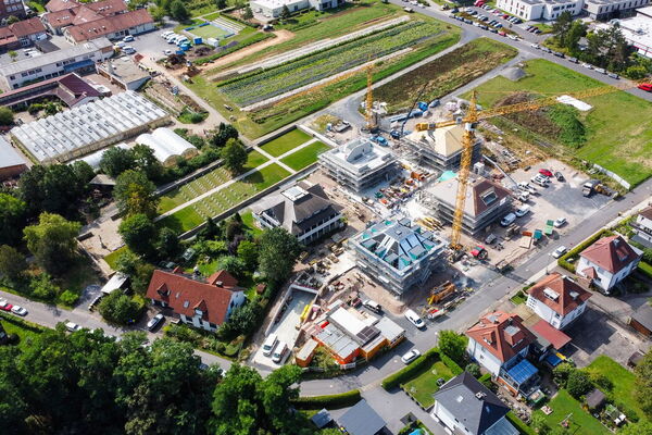 Bild-Vorschau