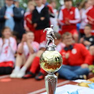 Bild-Vorschau