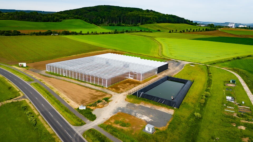Gärtnermeister / Gartenbautechniker / Gärtner (m/w/d) im Bio-Gemüseanbau als Assistenz der Abteilungsleitung