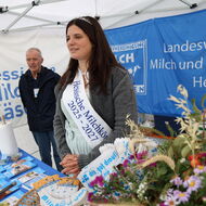 Bild-Vorschau