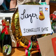 Bild-Vorschau