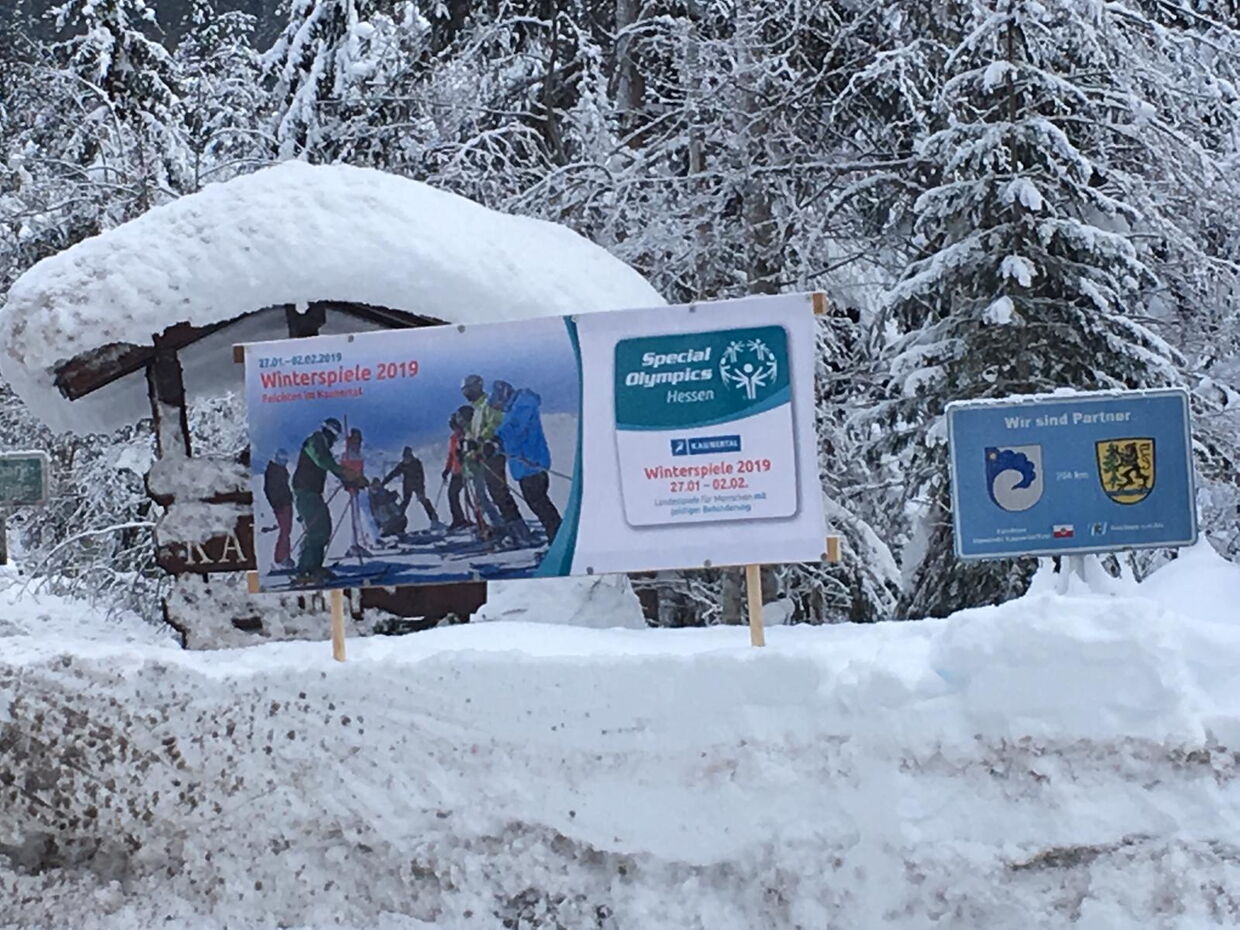 Bild-Vorschau